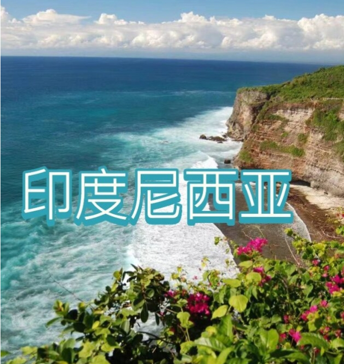 国际电商(印尼)产业博览会不朽情缘试玩版2025中国(图2) 国际电商(印尼)产业博览会不朽情缘试玩版2025中国(图2)